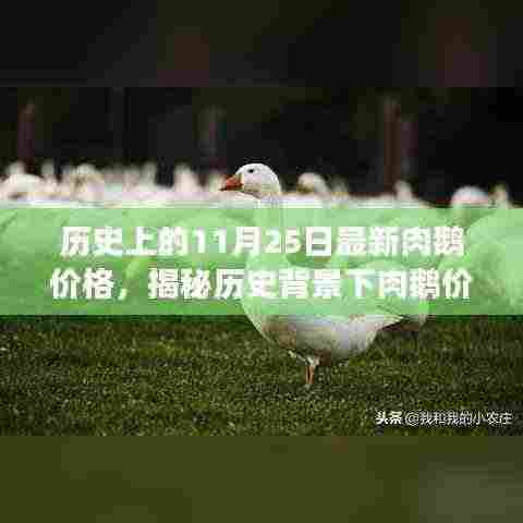 揭秘历史背景下肉鹅价格的波动，以最新市场为例分析肉鹅价格趋势（历史肉鹅价格回顾）
