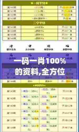 一码一肖100%的资料,全方位展开数据规划_深度版PCJ7.4