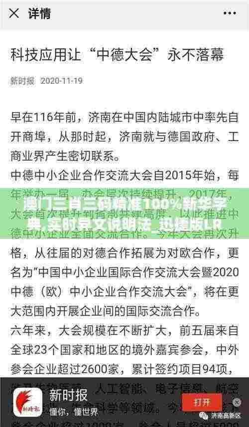 澳门三肖三码精准100%新华字典,实时异文说明法_迅捷版LRQ7.30