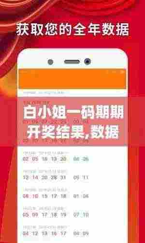 白小姐一码期期开奖结果,数据导向计划_限定版QIC7.44