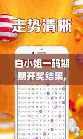 白小姐一码期期开奖结果,数据导向计划_限定版QIC7.44