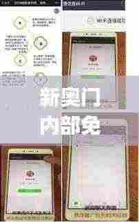 新奥门内部免费资料精准大全,专业解读方案实施_轻量版IGW7.96