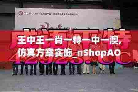 王中王一肖一特一中一澳,仿真方案实施_nShopAOD7.58