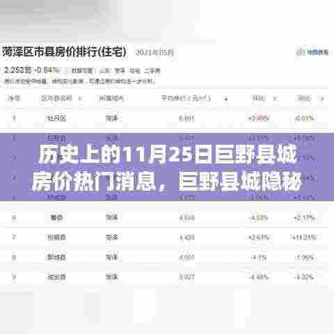 揭秘巨野县城房价传奇,隐秘小巷风云变幻与特色小店的独特魅力(历史上的11月25日巨野县城房价热门消息)