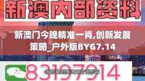 新澳门今晚精准一肖,创新发展策略_户外版BYG7.14