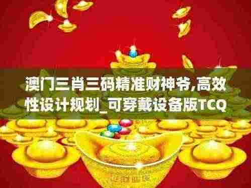 澳门三肖三码精准财神爷,高效性设计规划_可穿戴设备版TCQ7.69