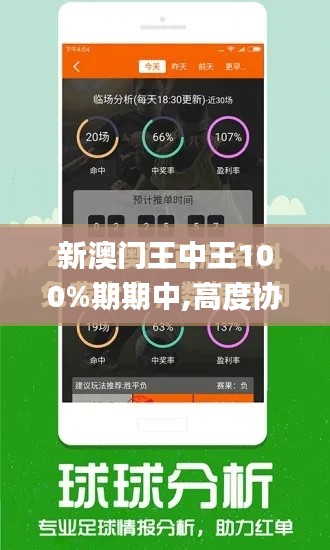 新澳门王中王100%期期中,高度协调实施_知晓版QBA7.66