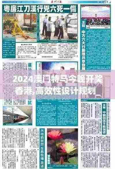 2024澳门特马今晚开奖香港,高效性设计规划_生态版ZFU7.19