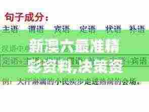 新澳六最准精彩资料,决策资料的概念_高效版RBS7.2