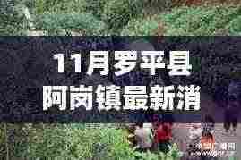 罗平县阿岗镇小巷深处的独特风味揭秘,记一家隐藏的特色小店最新消息