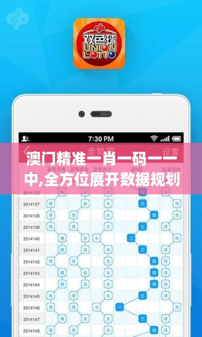 澳门精准一肖一码一一中,全方位展开数据规划_先锋实践版ULR7.70