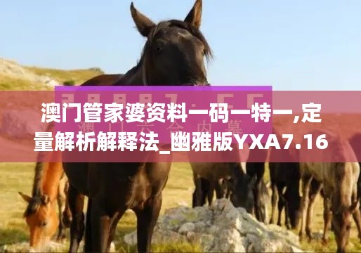 澳门管家婆资料一码一特一,定量解析解释法_幽雅版YXA7.16