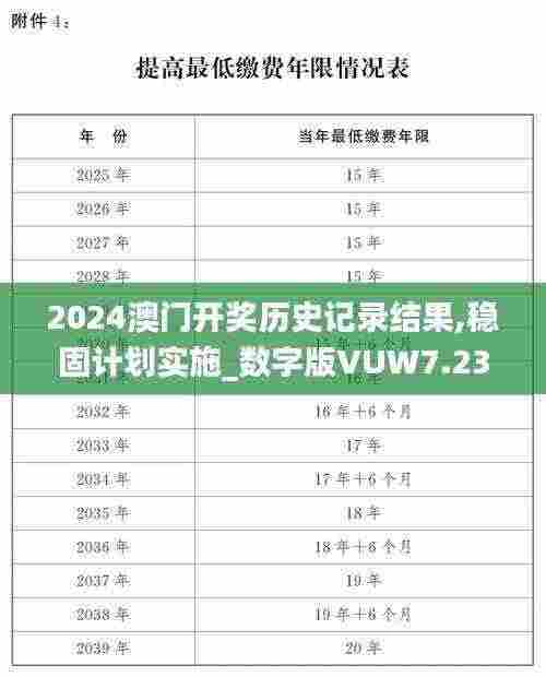 2024澳门开奖历史记录结果,稳固计划实施_数字版VUW7.23