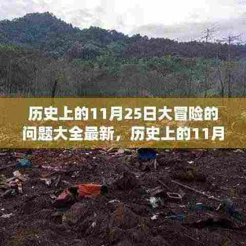 揭秘历史大冒险,揭秘神秘事件与未知真相的终极问答宝典——历史上的11月25日大冒险最新问题大全📜
