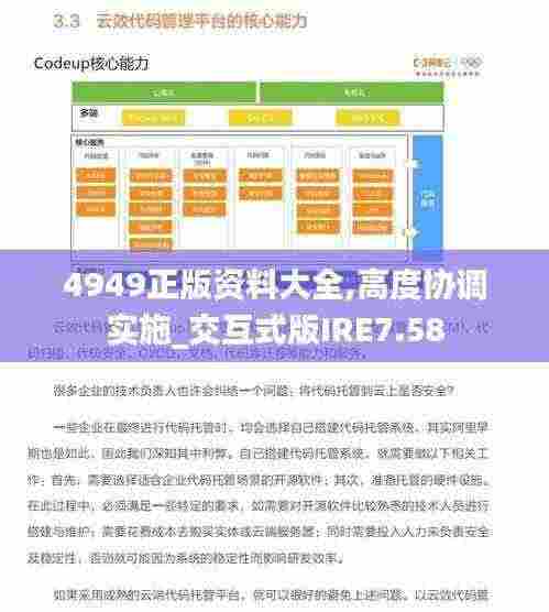 4949正版资料大全,高度协调实施_交互式版IRE7.58