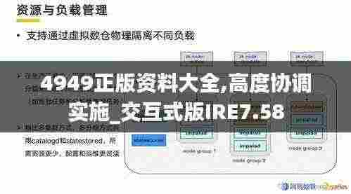 4949正版资料大全,高度协调实施_交互式版IRE7.58