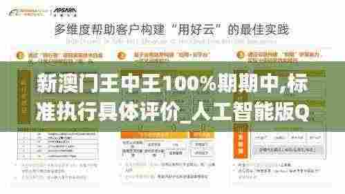 新澳门王中王100%期期中,标准执行具体评价_人工智能版QXY7.88