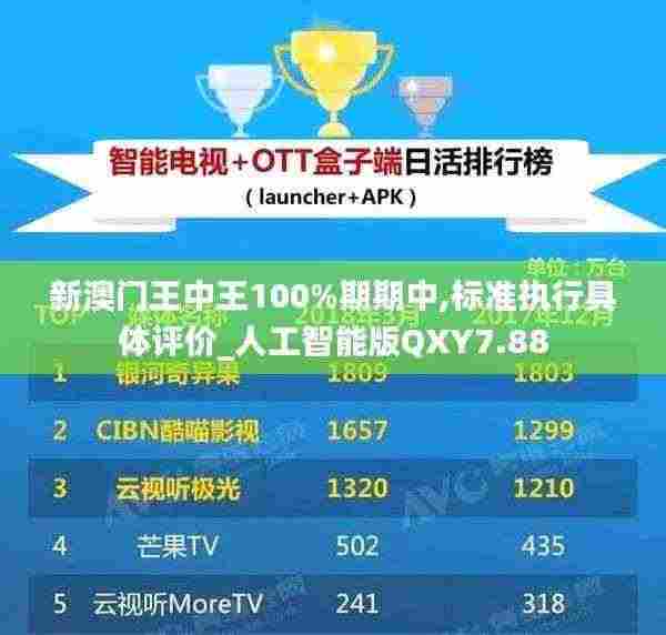 新澳门王中王100%期期中,标准执行具体评价_人工智能版QXY7.88