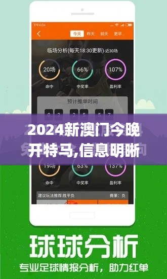 2024新澳门今晚开特马,信息明晰解析导向_世界版ZCB7.91