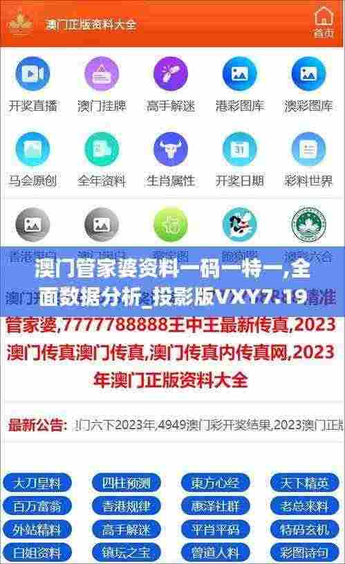 澳门管家婆资料一码一特一,全面数据分析_投影版VXY7.19
