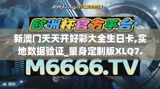 新澳门天天开好彩大全生日卡,实地数据验证_量身定制版XLQ7.62