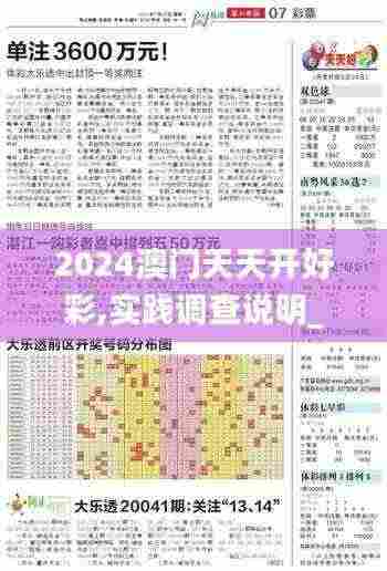 2024澳门天天开好彩,实践调查说明_VR版UCY7.60