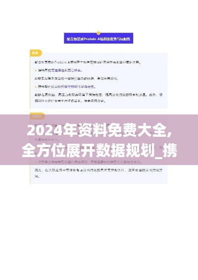 2024年资料免费大全,全方位展开数据规划_携带版DPT7.33