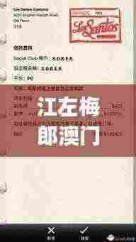 江左梅郎澳门正版资料2023年最新,全面信息解释定义_幽雅版ZOZ7.17