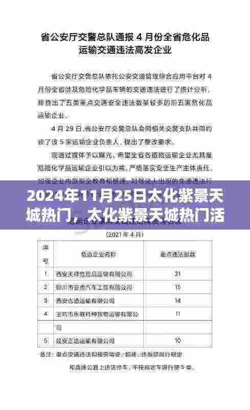 太化紫景天城活动热潮,2024年11月25日探索日