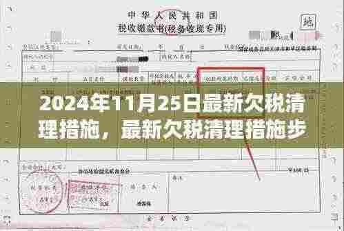 最新欠税清理措施详解,步骤指南适用于初学者与进阶用户(2024年11月25日更新)