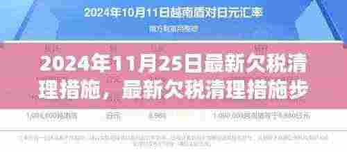 最新欠税清理措施详解,步骤指南适用于初学者与进阶用户(2024年11月25日更新)