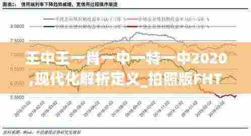 王中王一肖一中一特一中2020,现代化解析定义_拍照版FHT7.33