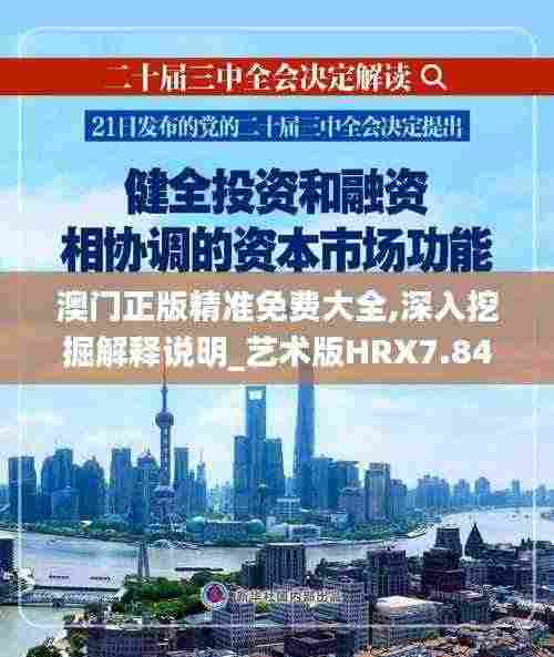 澳门正版精准免费大全,深入挖掘解释说明_艺术版HRX7.84