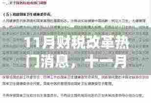十一月财税改革最新热门消息解析,重磅更新全知晓