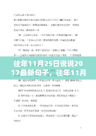 回顾往年11月25日,最新流行句子深度解析与评测