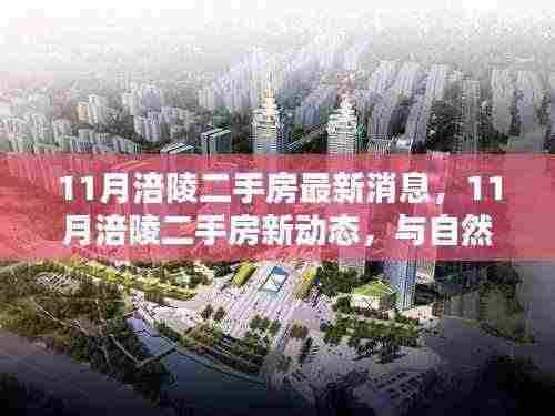 11月涪陵二手房新动态,与自然美景相伴,寻找内心平静的居所