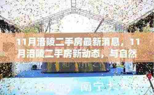 11月涪陵二手房新动态,与自然美景相伴,寻找内心平静的居所