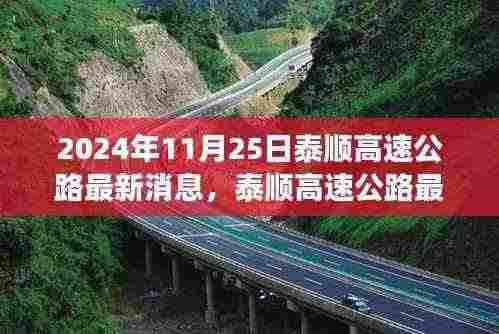 泰顺高速公路最新进展,2024年11月25日全面更新及关注项目进展全攻略