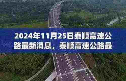泰顺高速公路最新进展,2024年11月25日全面更新及关注项目进展全攻略