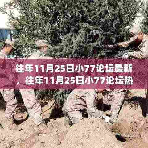 往年11月25日小77论坛热议,学习变迁与自信成就之旅的奇妙之旅