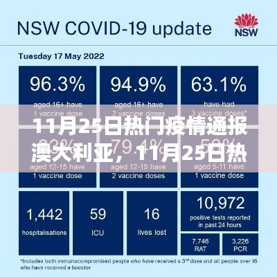 11月25日澳大利亚疫情通报,多维度视角下的观察与思考