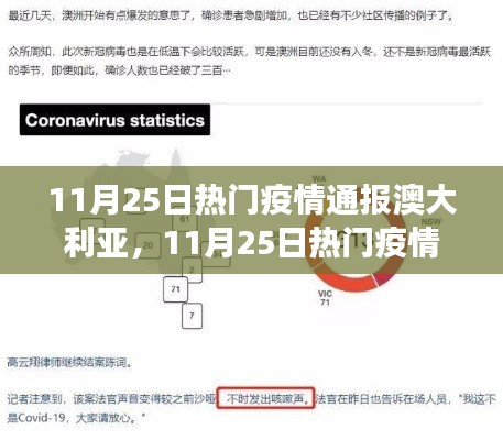 11月25日澳大利亚疫情通报,多维度视角下的观察与思考