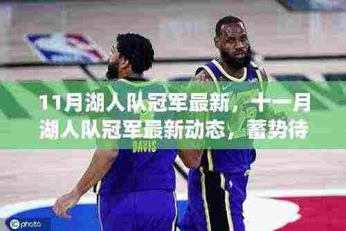 湖人队最新动态,蓄势待发,荣耀再临夺冠之路