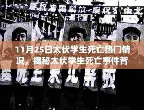 揭秘太伏学生死亡事件背后的神秘小巷,特色小店背后的奇遇与真相探寻