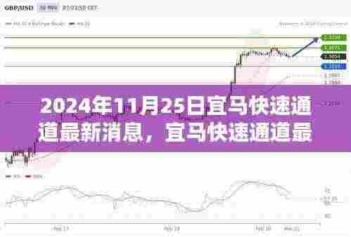 宜马快速通道最新消息及行动指南(全面解读,2024年11月版)