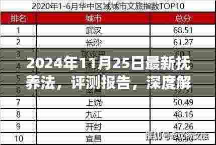 深度解读,最新抚养法及其影响评测报告(2024年11月版)
