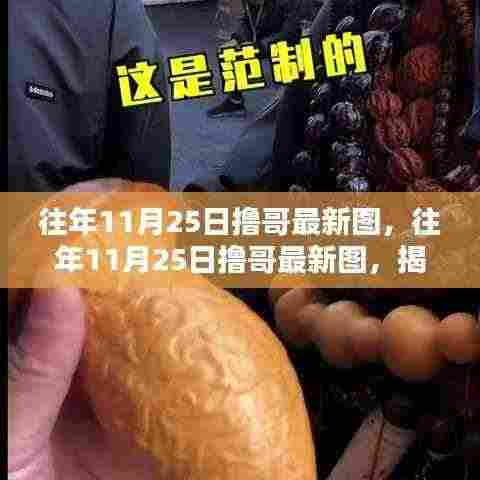 揭秘往年11月25日撸哥最新美图,赏析与探讨