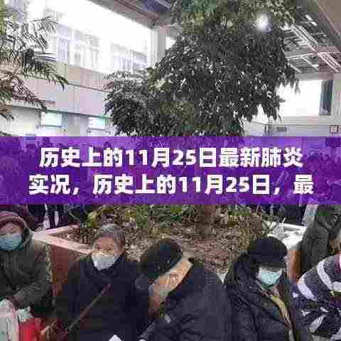 历史上的11月25日,最新肺炎实况深度解析与回顾