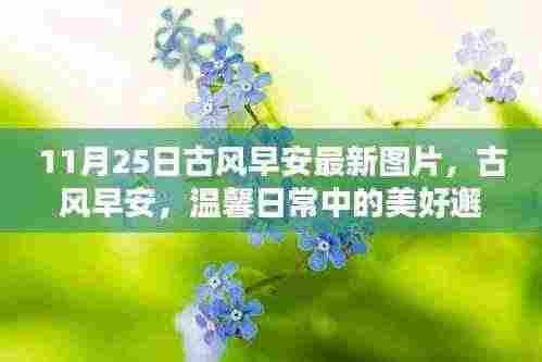 11月25日古风早安美图,温馨日常的美好邂逅