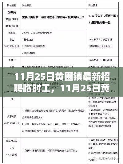 11月25日黄圃镇最新招聘临时工信息详解与全面评测